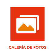 fotos flickr